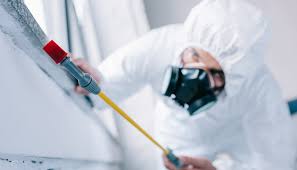 Best Termite Inspection and Treatment  in Dover Base Housing, DE